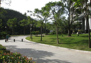 福建 出臺(tái)園林綠化工程招標(biāo)新規(guī)