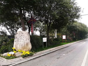 喜訊 人文園林在2018年度杭州市優秀園林綠化工程評比中榮獲三金的佳績