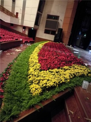 辦公室花木出租,西城區四季佳美綠植盆栽租賃