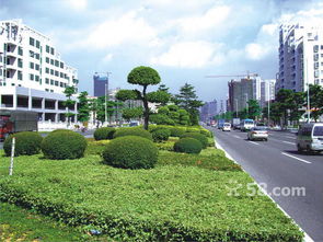 招聘信息 公司前景 規模 待遇怎么樣
