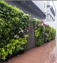 杭州植物墻 杭州商場垂直綠化植物墻 杭州道路園林綠化, 杭州植物墻 杭州商場垂直綠化植物墻 杭州道路園林綠化生產廠家, 杭州植物墻 杭州商場垂直綠化植物墻