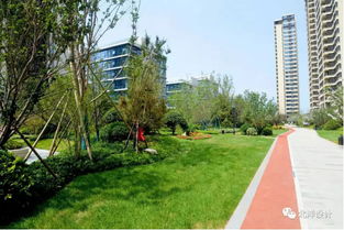 精文綠化 ┃金茂 中歐國際城 a2地塊 景觀施工 公園式社區