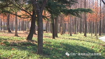 沙墩河公園悄悄發生著變化