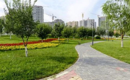 權威發布 商丘新建 升級改造公園 綠地 道路綠化大全 快看哪些在你家門口