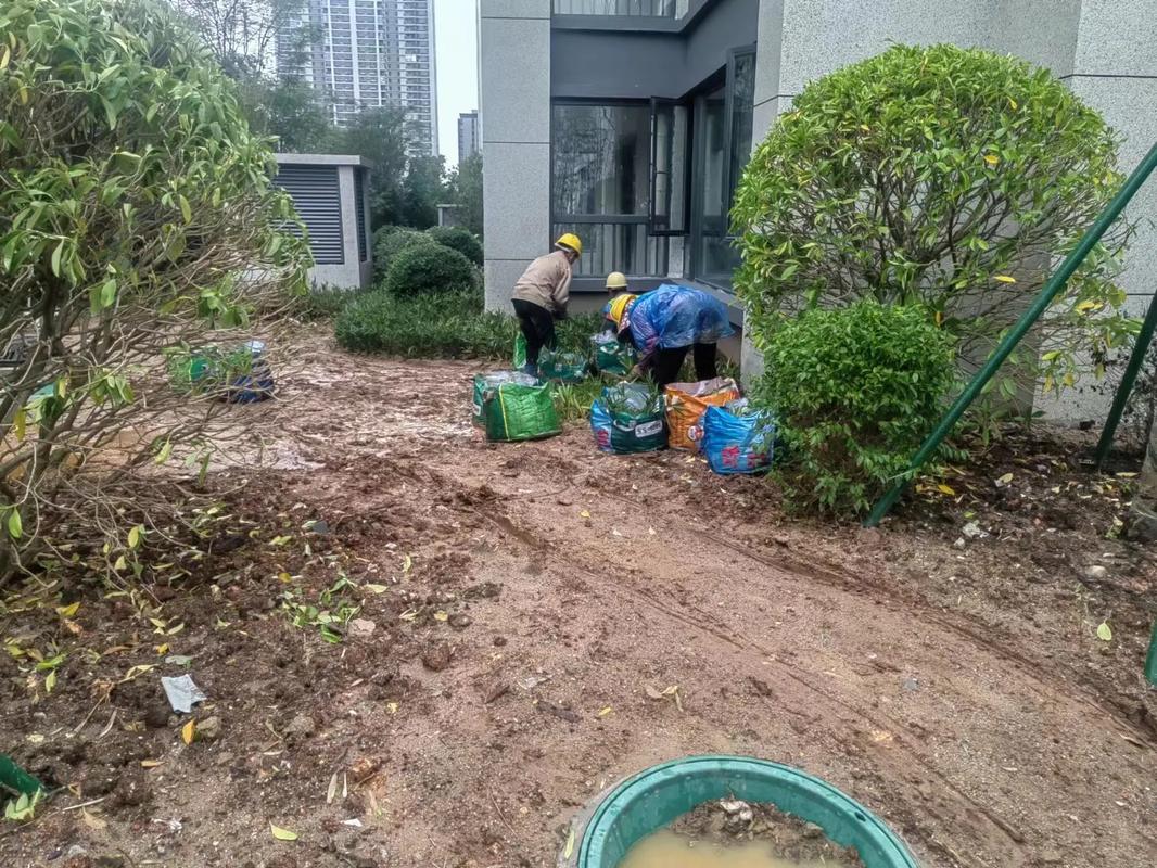 圖文來了 #園林景觀工程 #施工現場實拍 這下雨天,真干不