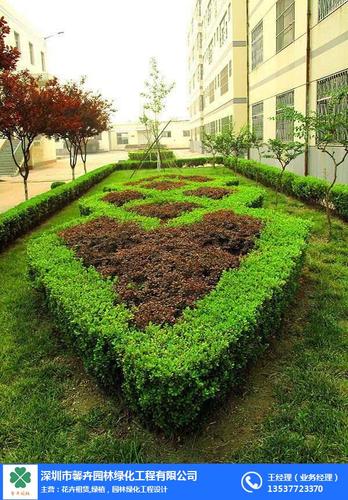 綠化帶施工方案_深圳馨卉園林_綠化帶 - 深圳市馨卉園林綠化工程有限