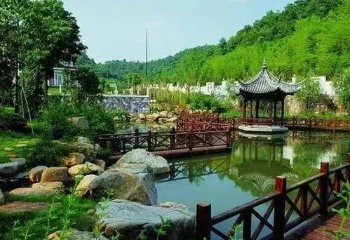 華東地區(qū)苗木交易市場行情不錯(cuò),這些熱銷苗木你種了嗎