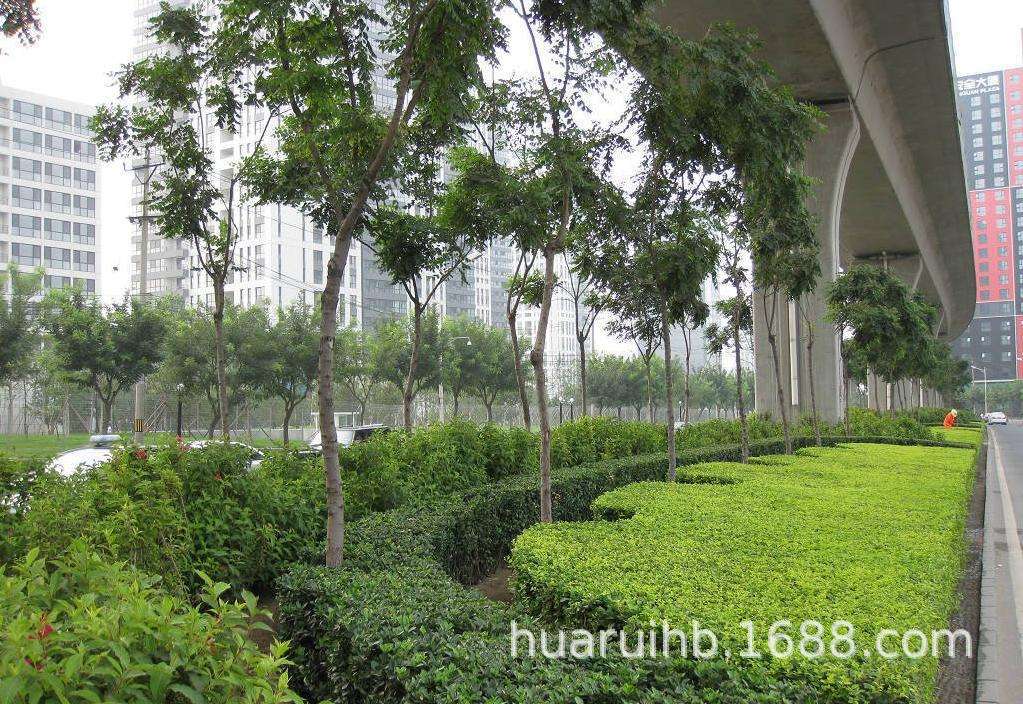 供應(yīng)東莞市園林綠化養(yǎng)護(hù) 打藥 割草 東莞市綠化管理 東莞花草修剪